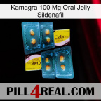 Kamagra 100Mg Oral Jelly Sildenafil cialis5